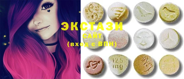 ECSTASY Богородицк